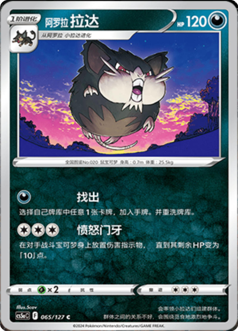065/127 Alolan Raticate阿罗拉拉达 C