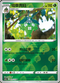 Wormadam (结草贵妇)