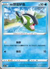 洗翠野蛮鲈鱼