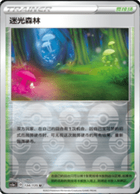 迷光森林