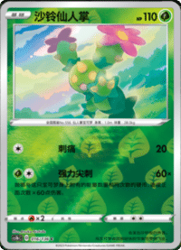 Maractus (沙铃仙人掌)