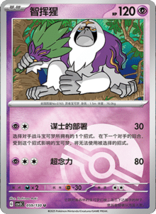 CSV3 – Fearless Terastal Simplified Chinese Pokemon – PokiPair Store 160