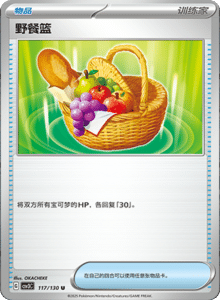 CSV3 – Fearless Terastal Simplified Chinese Pokemon – PokiPair Store 321