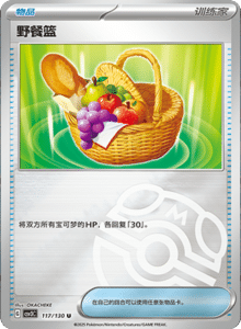 CSV3 – Fearless Terastal Simplified Chinese Pokemon – PokiPair Store 323