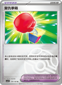 CSV3 – Fearless Terastal Simplified Chinese Pokemon – PokiPair Store 332