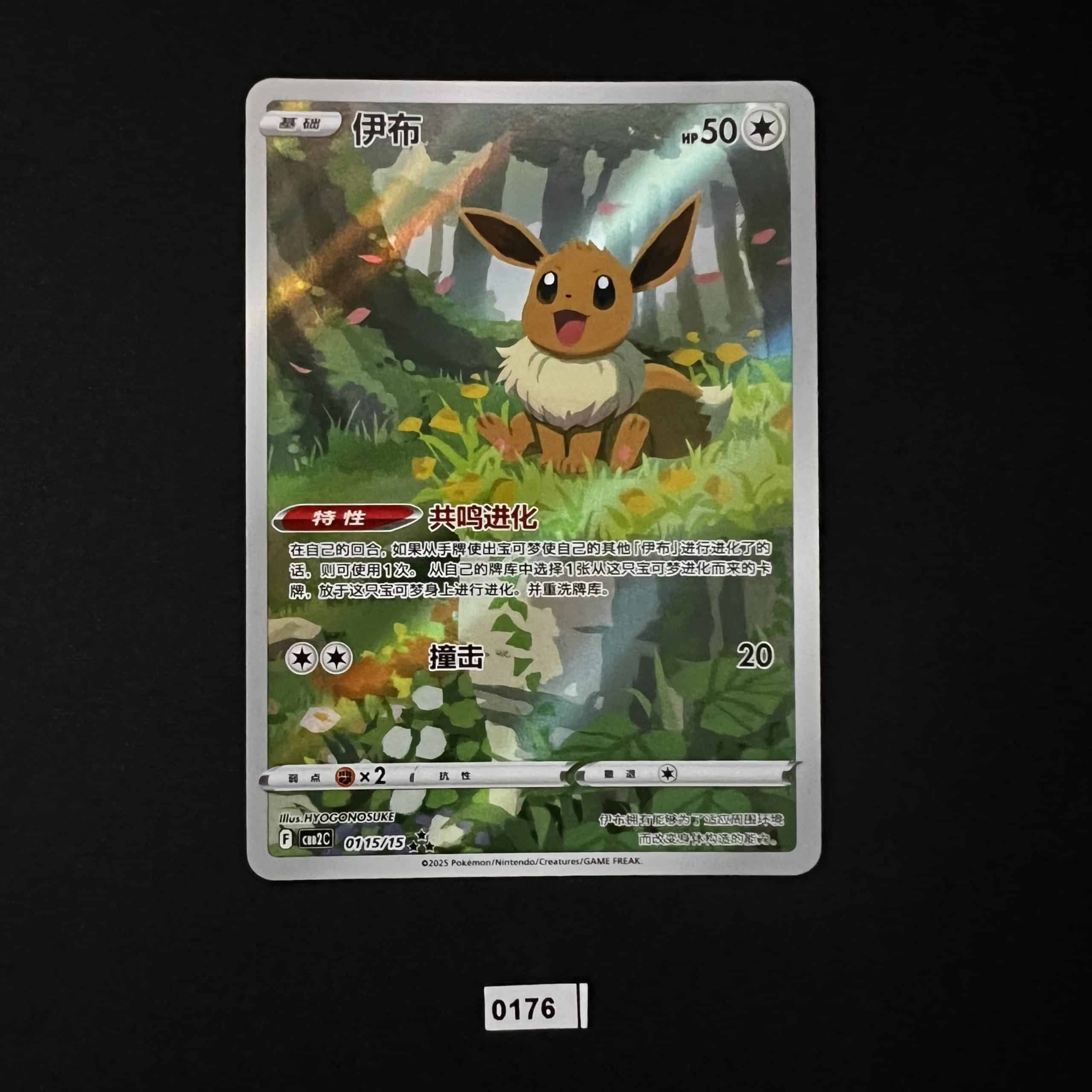 Eevee AR 01/15/15 #2