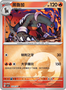 05 01/07 · Houndoom