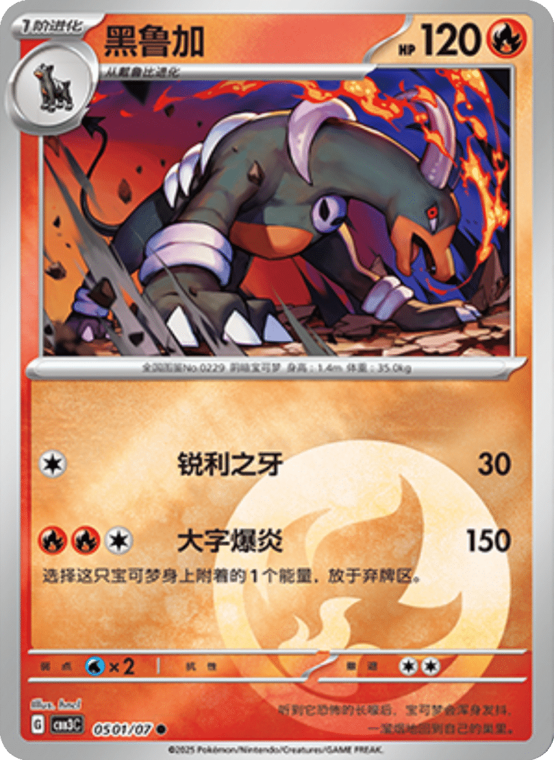 05 01/07 Houndoom黑鲁加 ●