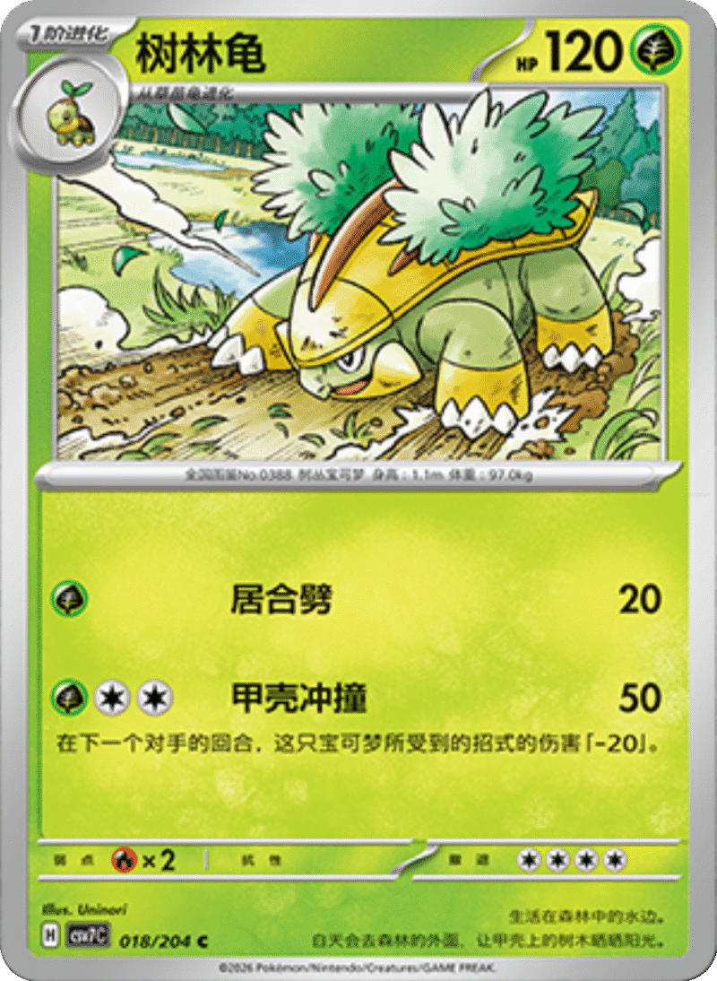 018/204 Grotle树林龟 C