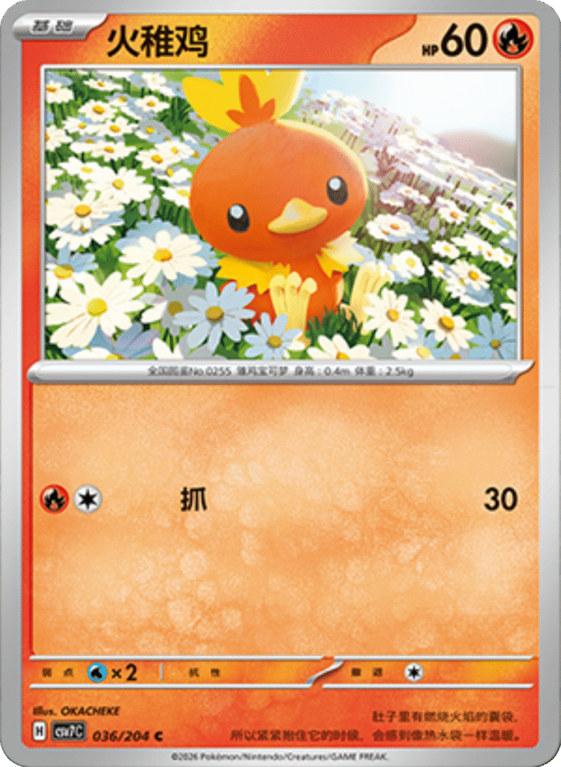 036/204 Torchic火稚鸡 C