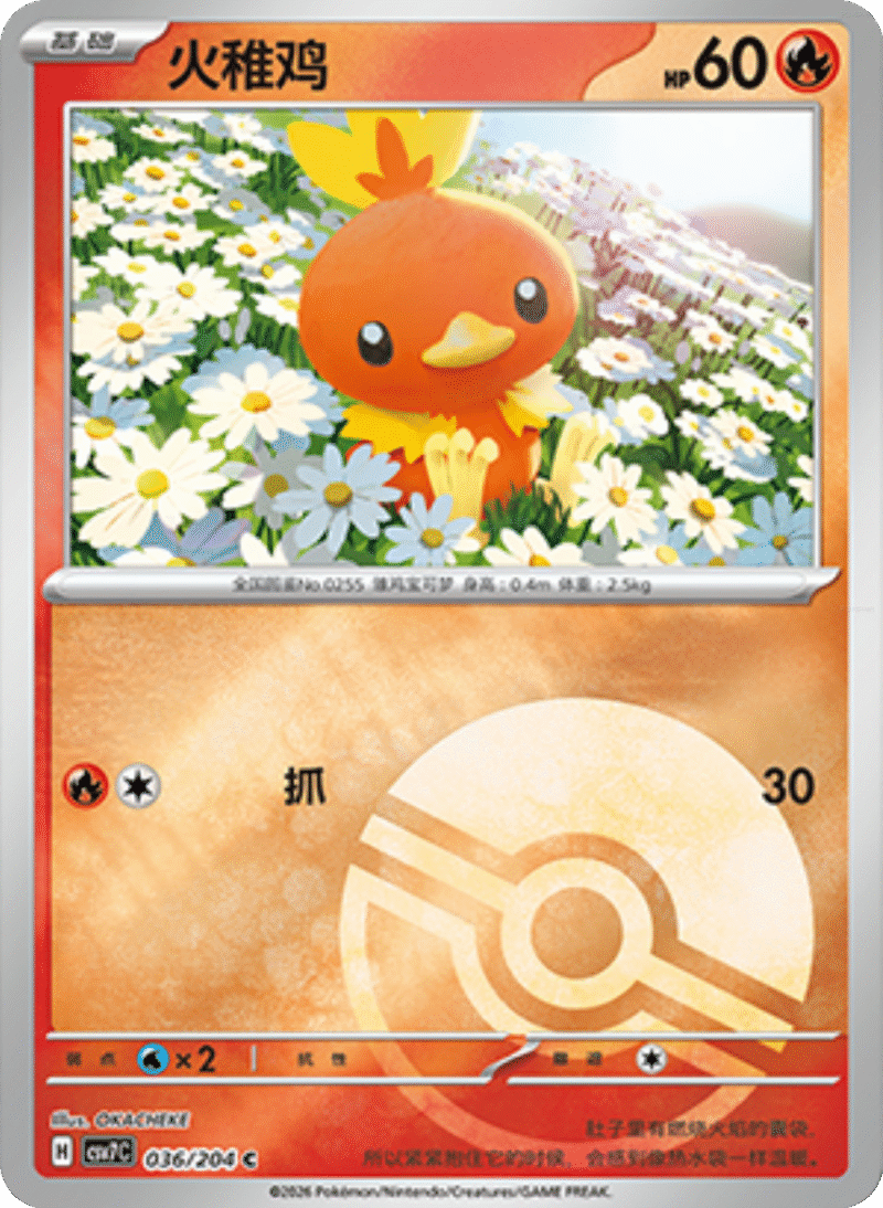 036/204 Torchic火稚鸡 C POKE BALL HOLO