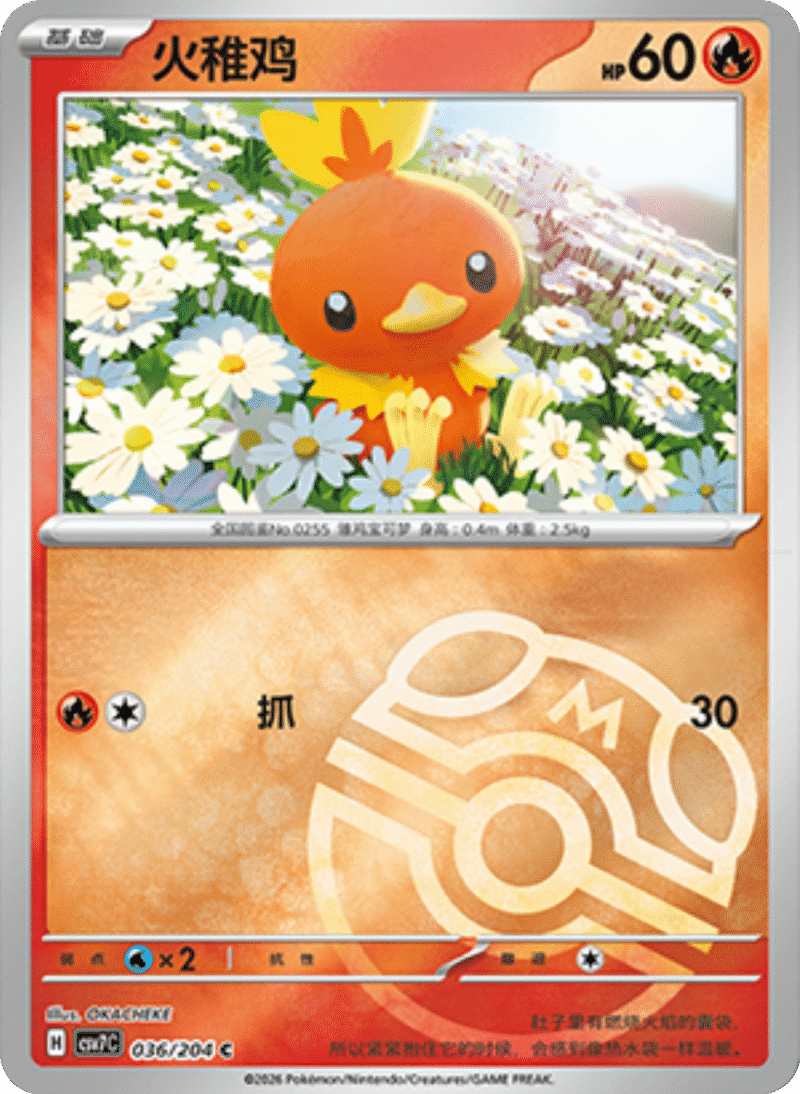 036/204 Torchic火稚鸡 C MASTER BALL HOLO