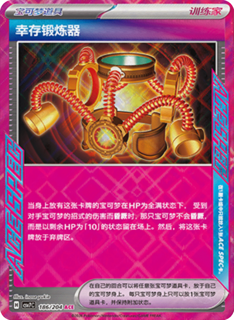 186/204 Survival Brace幸存锻炼器 ACE