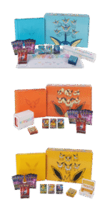 Eevee Advanced Gift Box Promo Card List